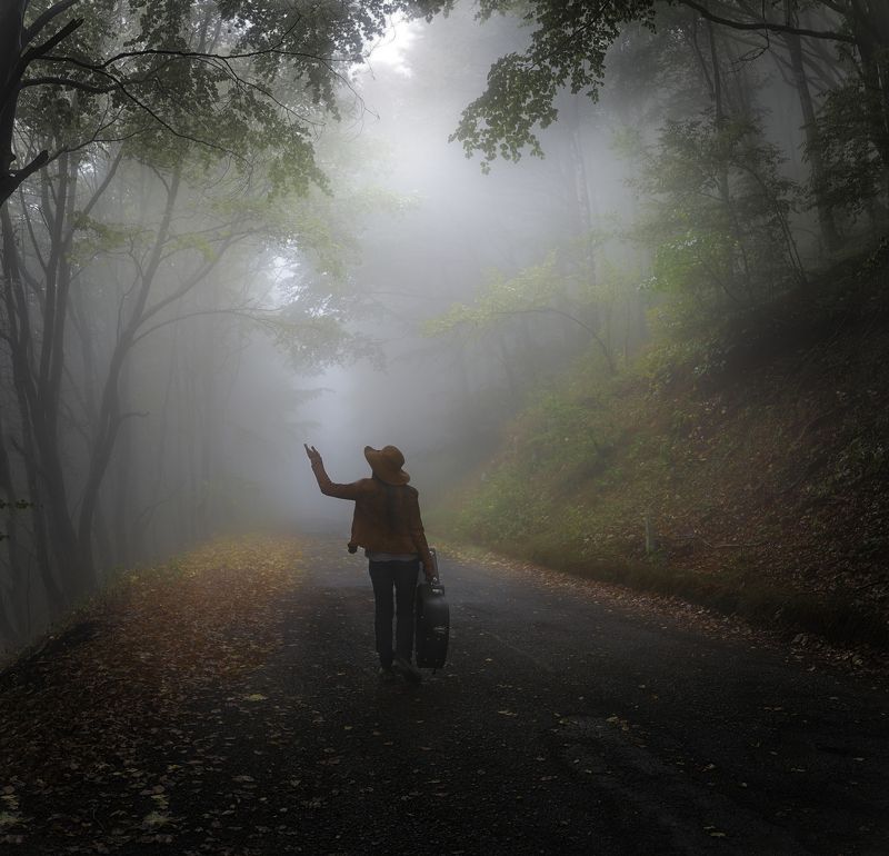 пилигрим, лес,туман, гитара,музыкант,осень Пилигрим фото превью