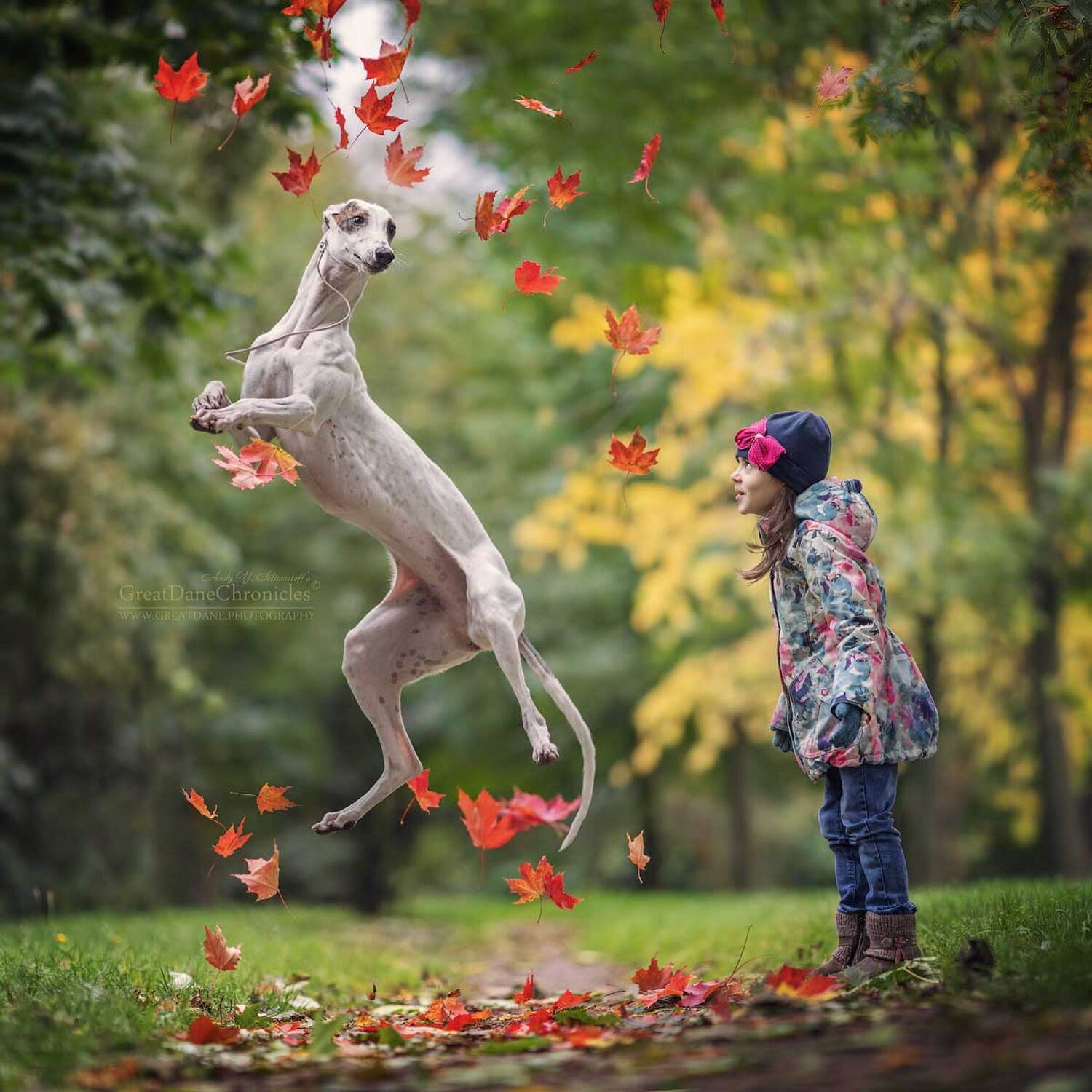 , Андрей Селиверстов