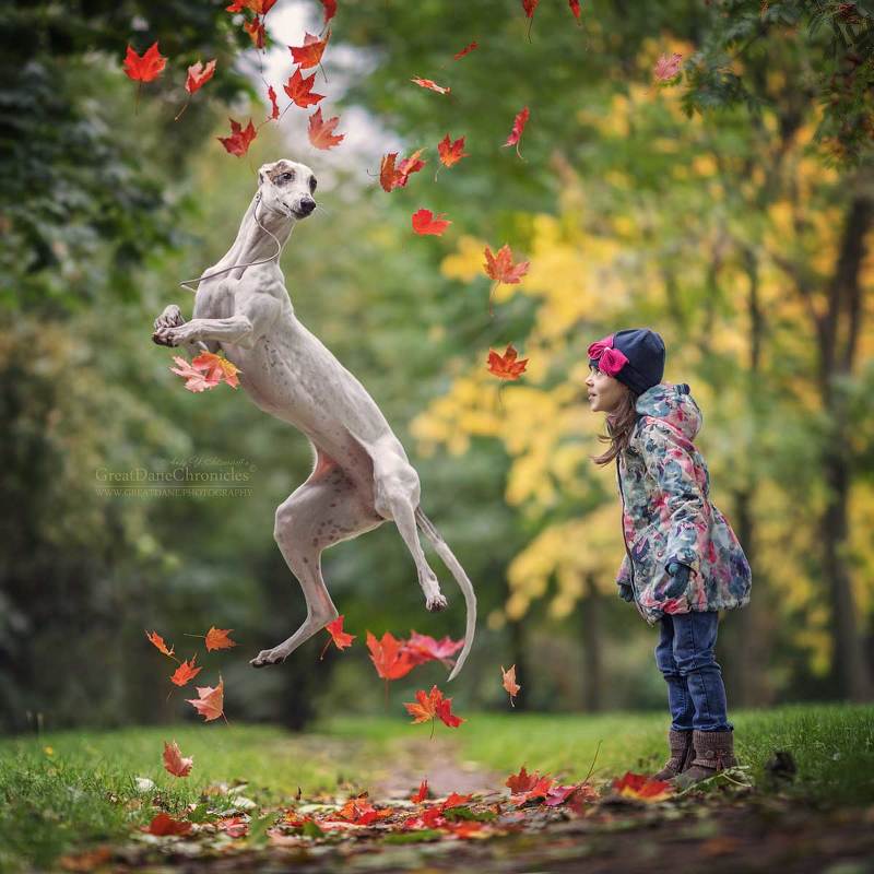 Autumn Whirlwind