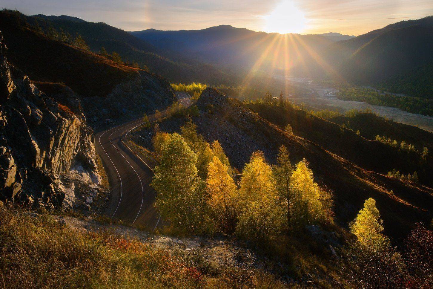 алтай, горы, осень, чике-таман, рассвет, лиственницы, Владимир Ляпин