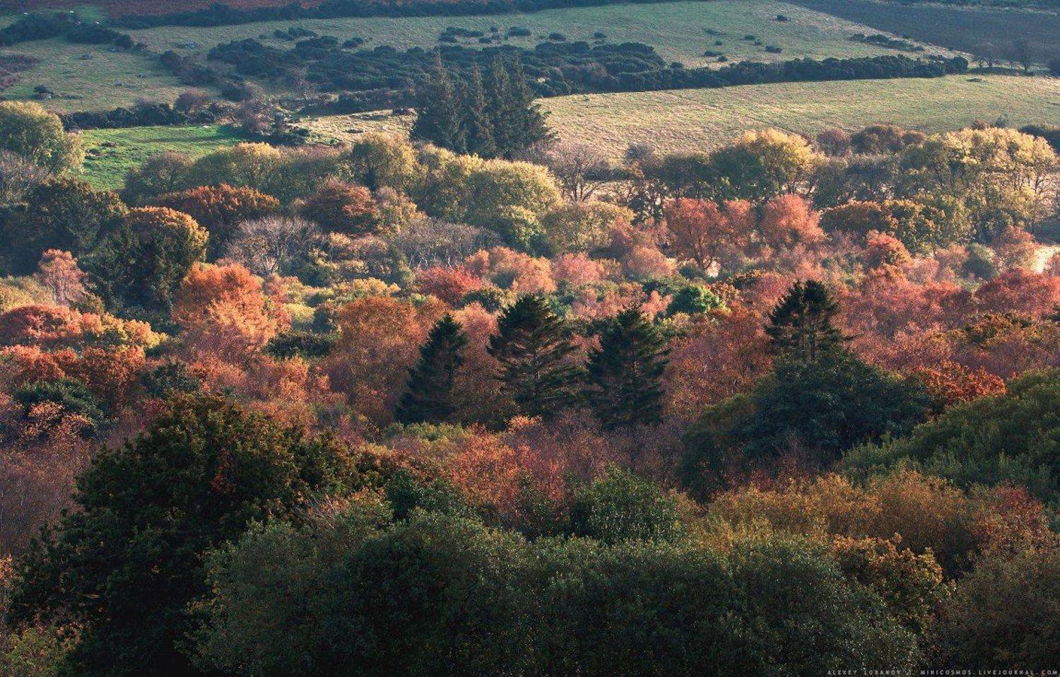 dartmoor, devon, england, Алексей Лобанов