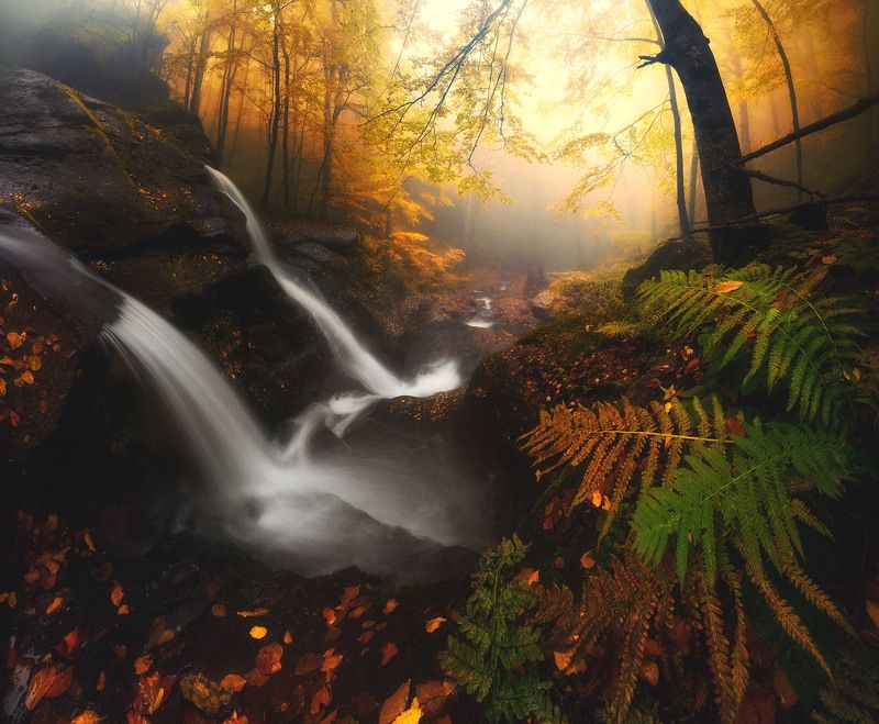 Осень в Болгарии фото превью