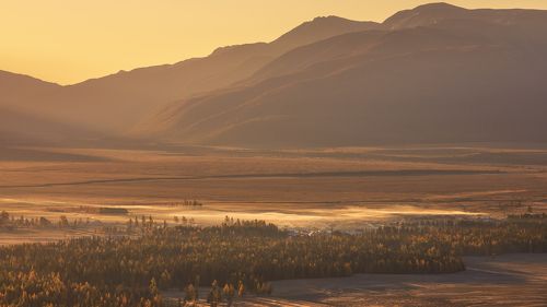 Курайская степь