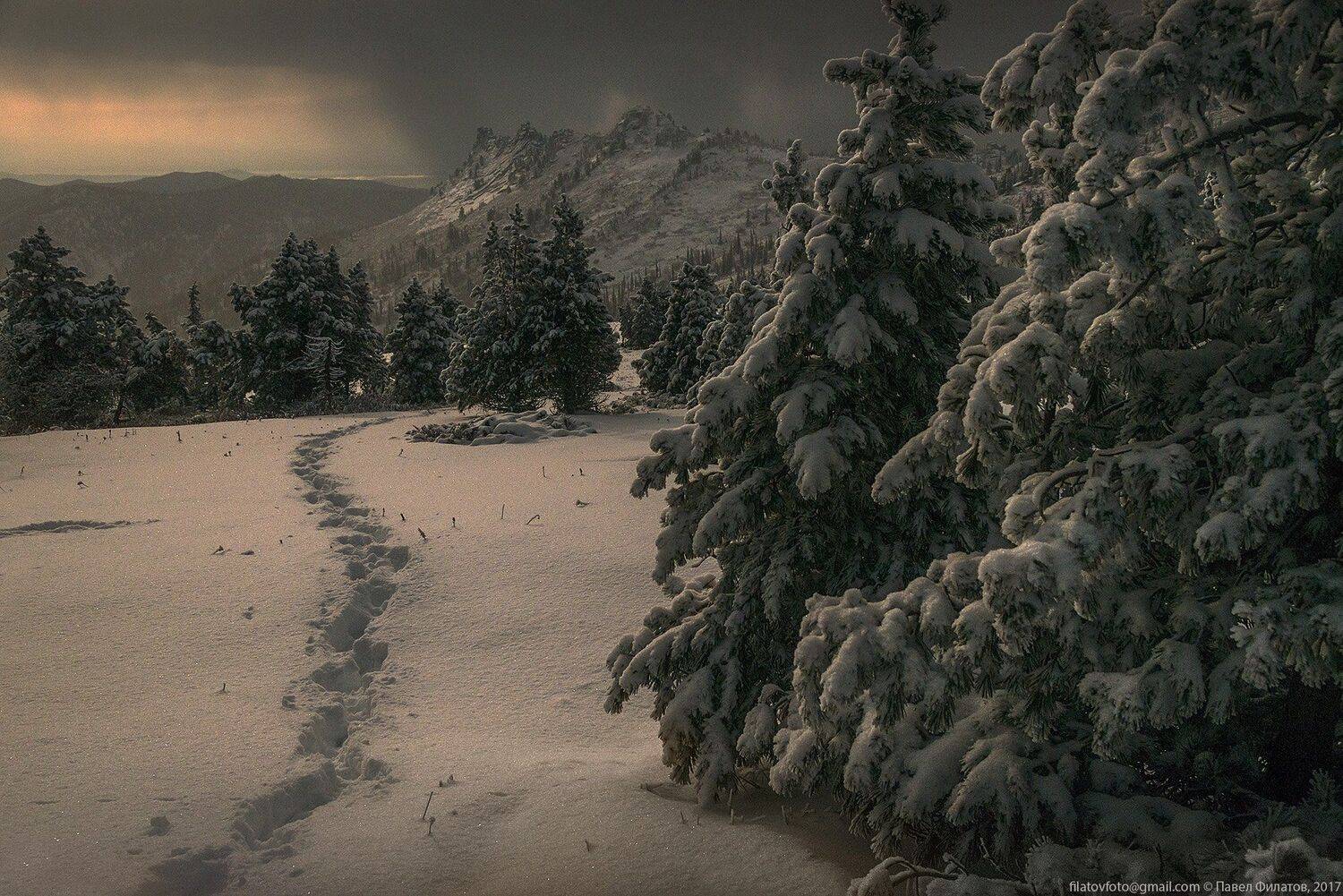 алтай, сибирь, siberia, лето, тигирек, тигирекский заповедник, ночь, кедры, снег, Павел Филатов