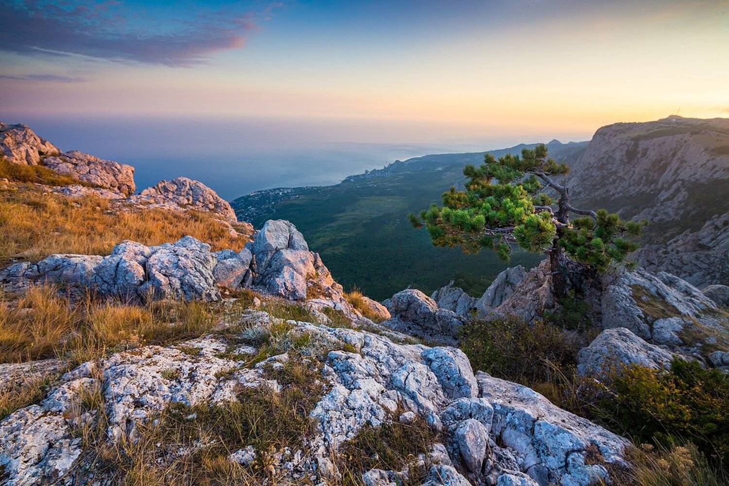 , Станислав Аристов
