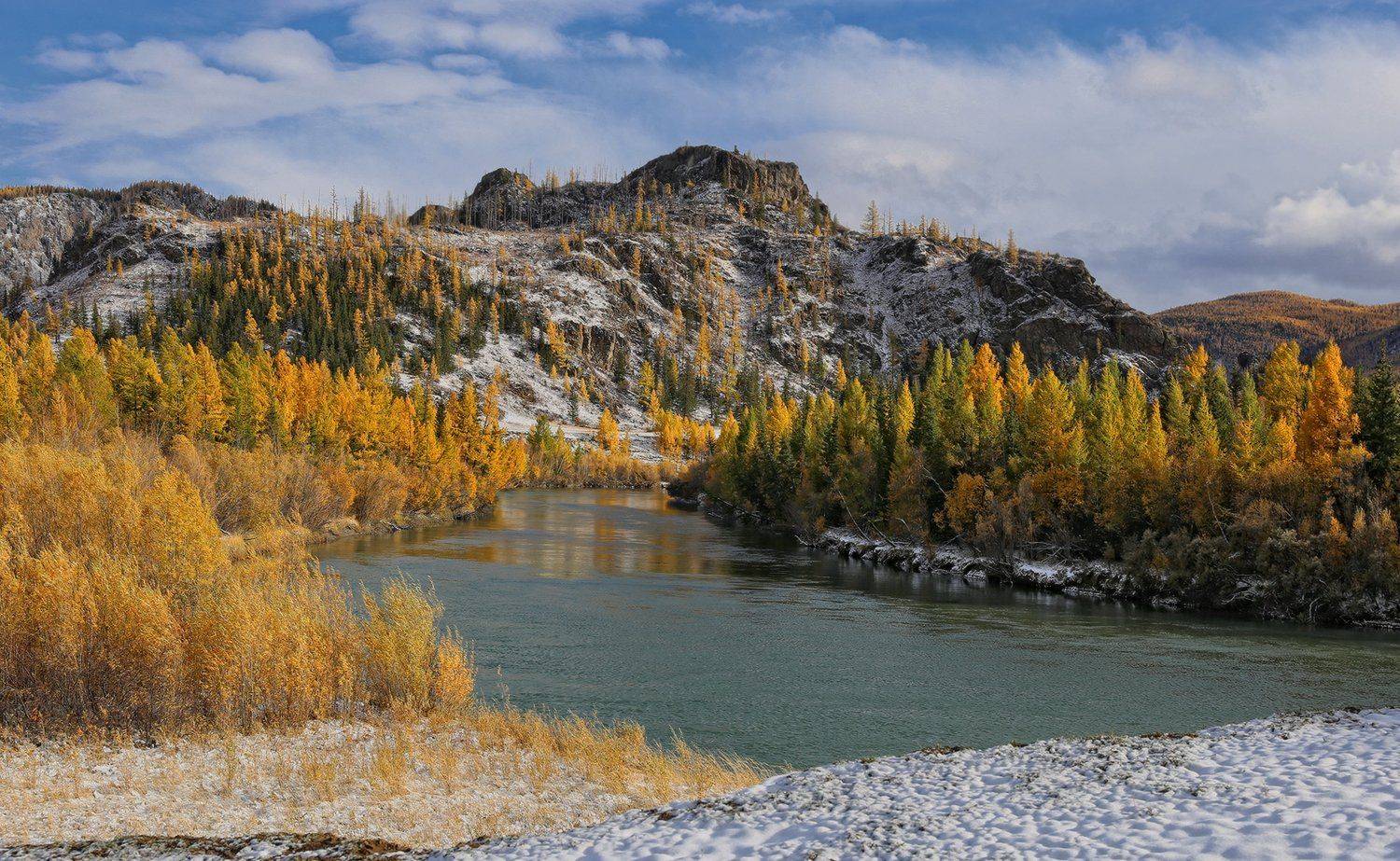 , Галина Хвостенко