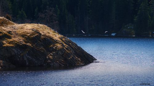 Северная весна.