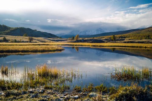 Ранним утром...