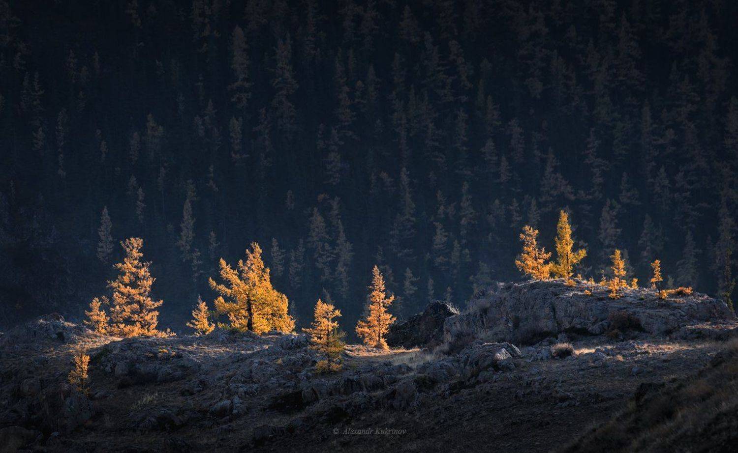 алтай, пейзаж, осень, Александр Кукринов