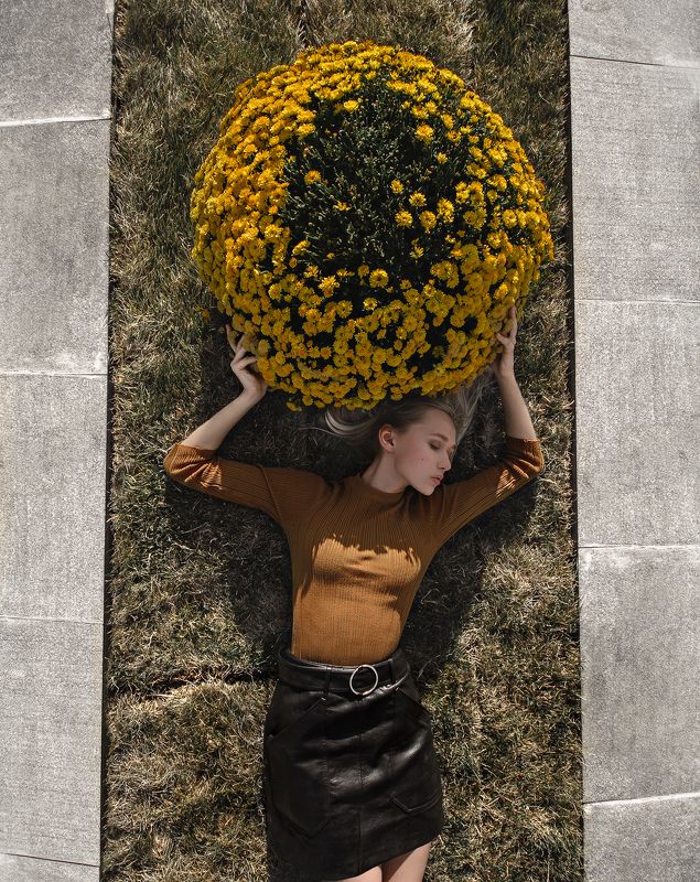 Одуванчик фото превью