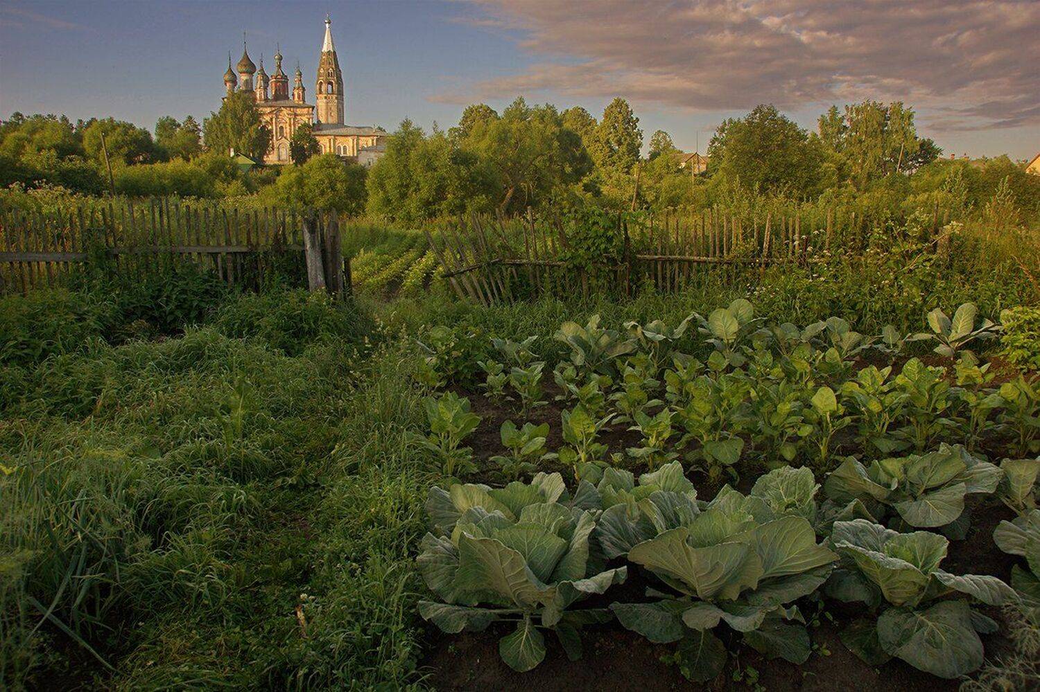 парское, Петр Косых