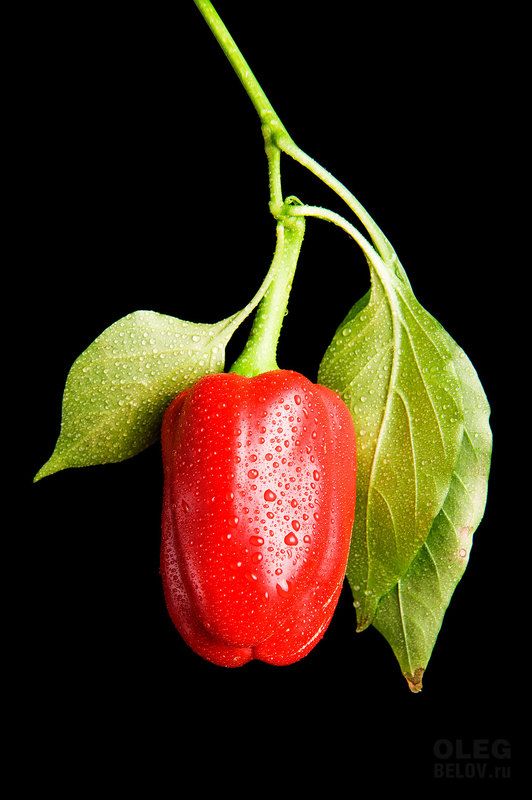 Red Sweet Russian Peppers фото превью