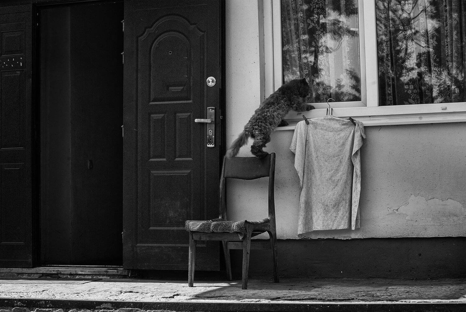 кот  улица  вход  дверь  окно, Roma  Chitinskiy
