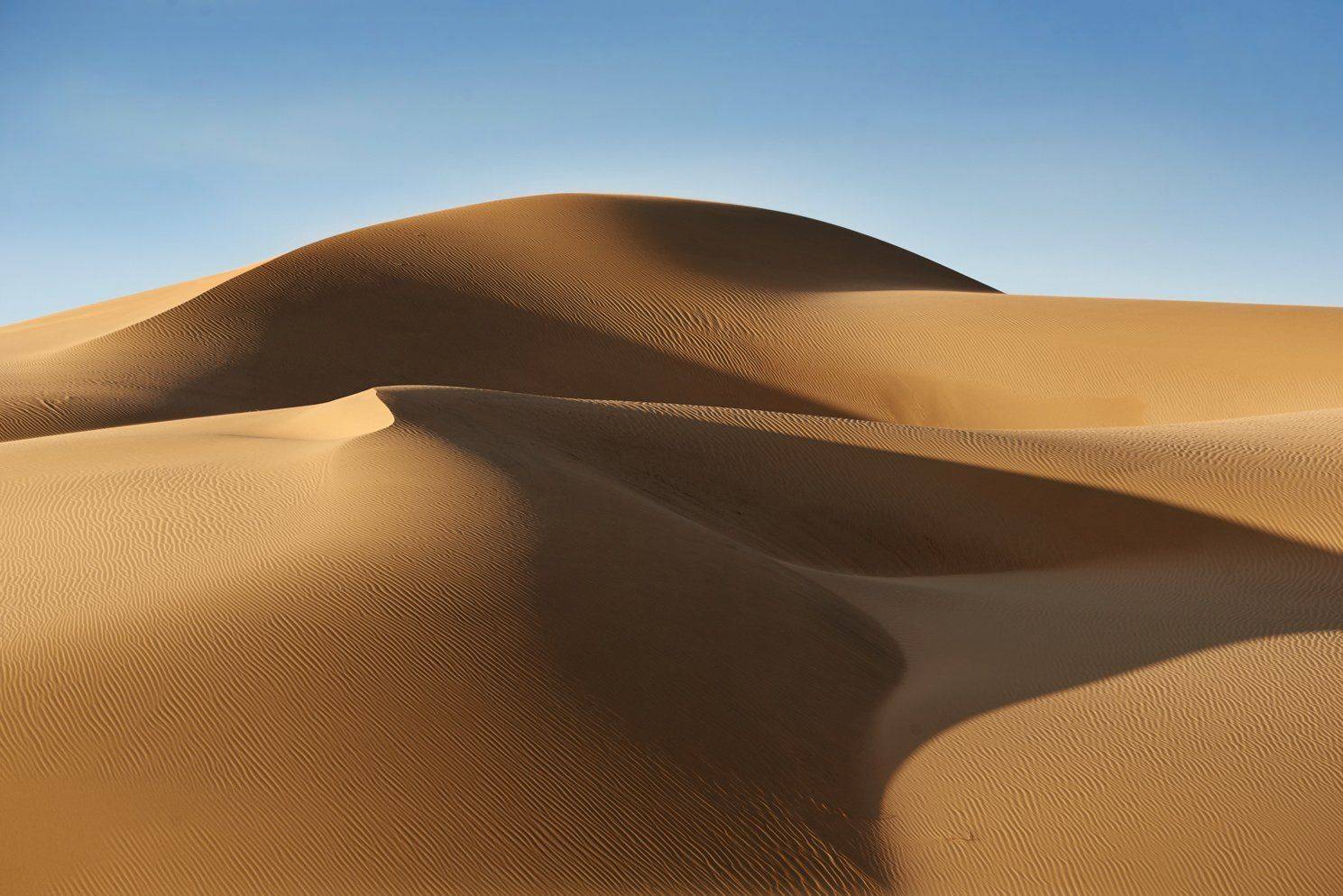 песок, монголия, Сергей Романчук