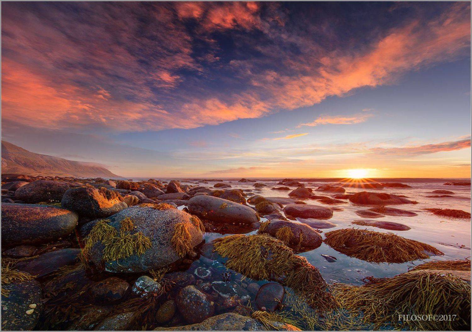 , Gennady Filosof Shatov