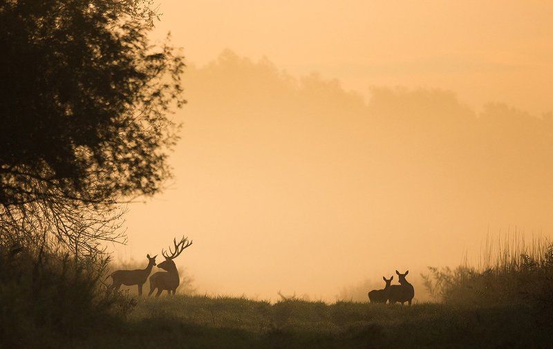 любовь и любовь фото превью