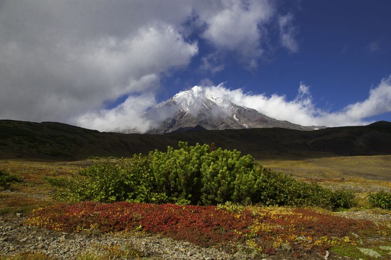 Камчатка.Осень.Вулкан Корякский фото превью