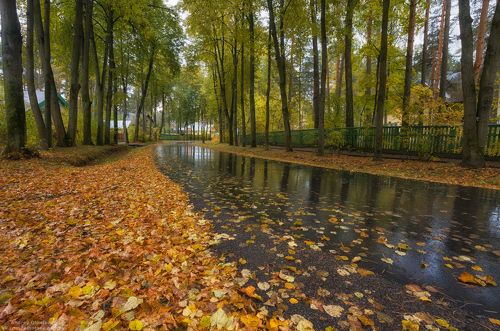 Осенняя пора...