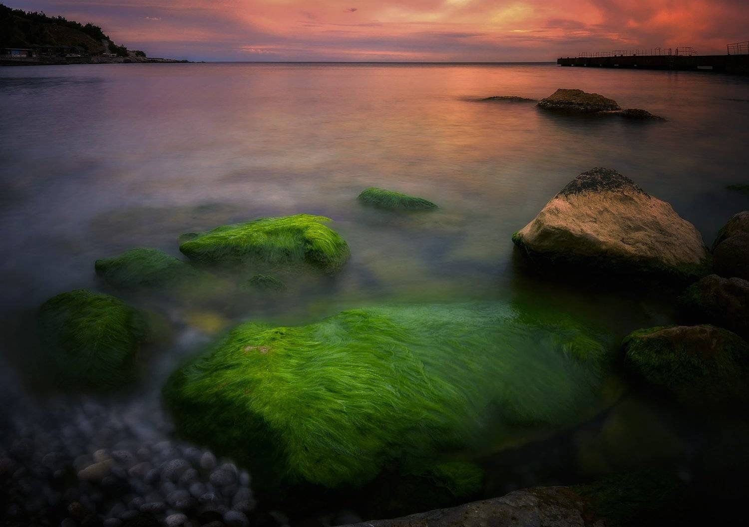 , Алексей Никонов