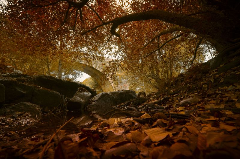 Autumn scene фото превью