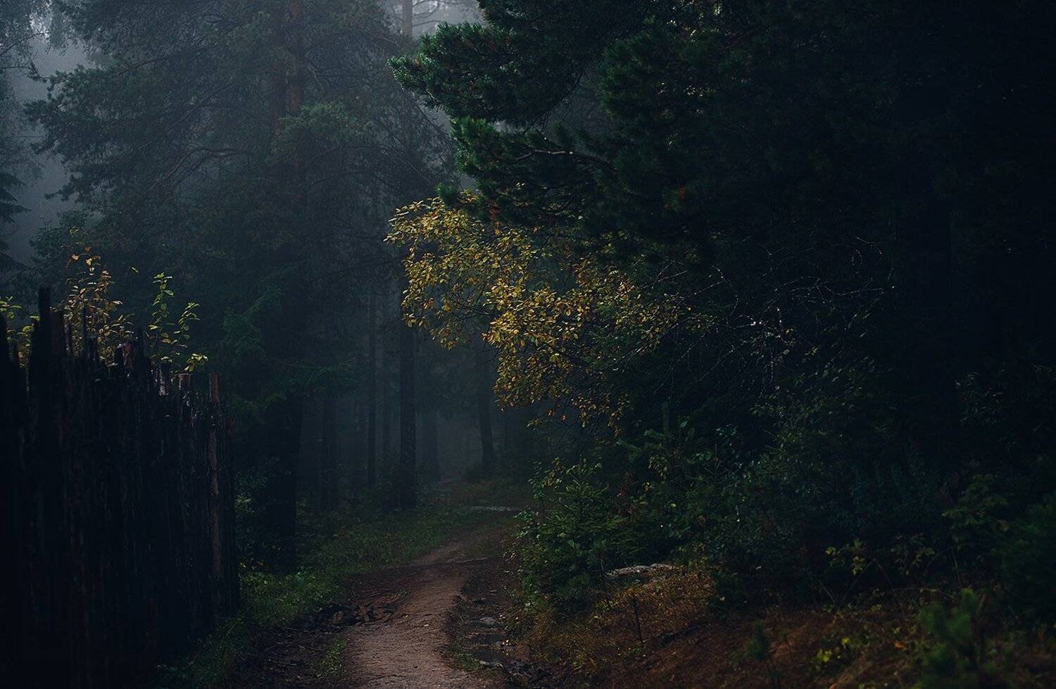 природа, лес,туман, осень, южный урал, златоуст, Евгений Толкачёв