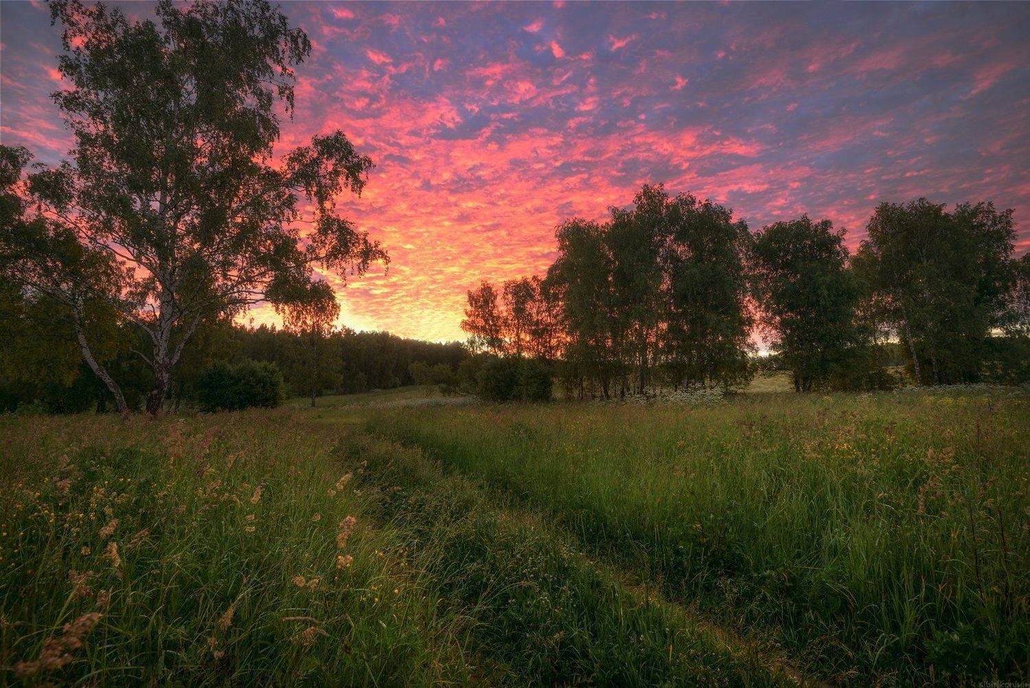 #пейзаж #подмосковье #закат #рассвет #россия #жизнь #мир #чехов #sibirikonium85 , Морозов Юрий