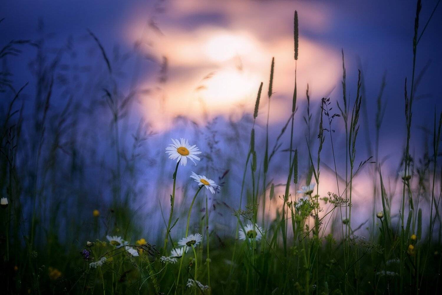 , Устюжанин Михаил