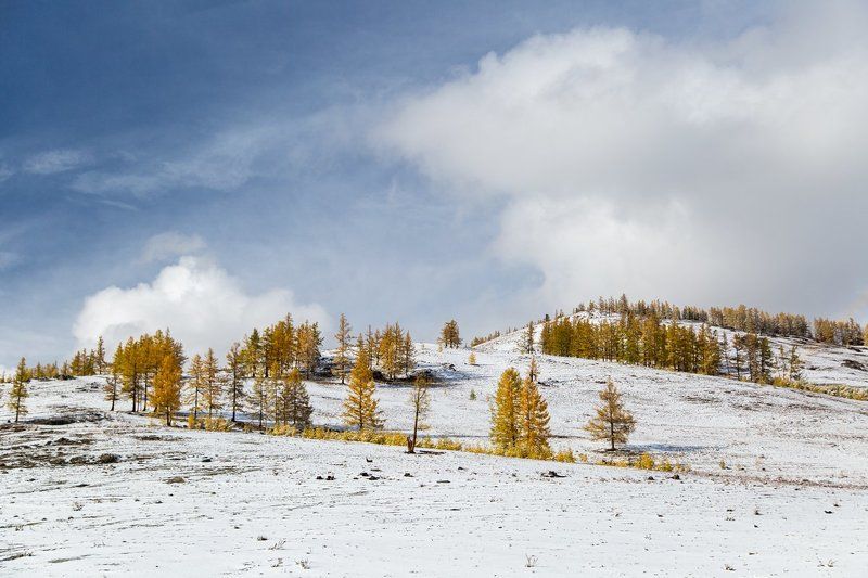 Алтай l Сентябрь 2017 Winter Is Coming фото превью