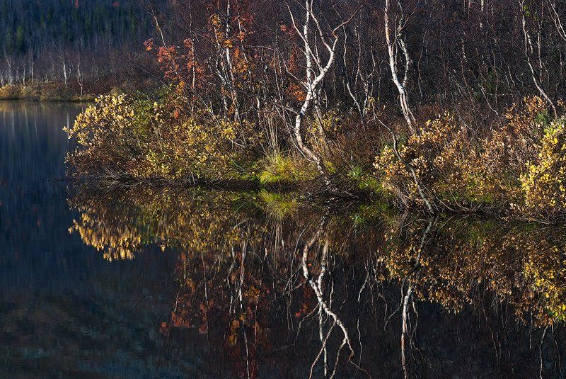Осенние краски Севера фото превью
