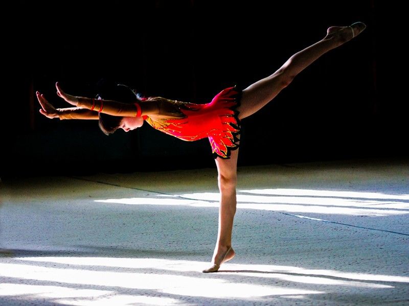 ....ласточка.... фото превью