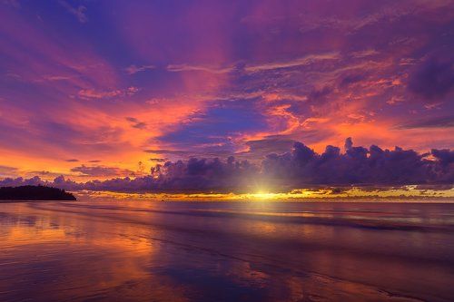 Вечерний цвет Борнео.