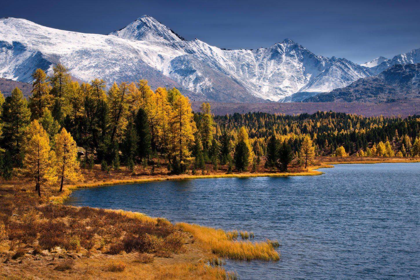 алтай, горы, осень, киделю, Владимир Ляпин