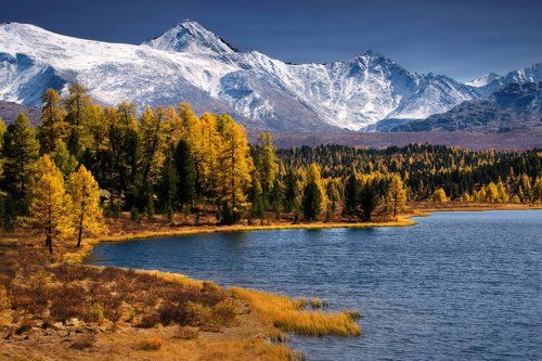 В ясный день