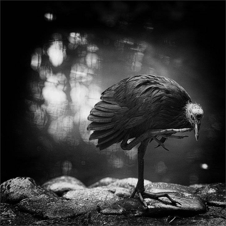 , Сергей Фудиненко