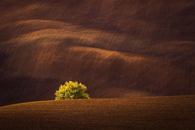 Autumn set фото превью