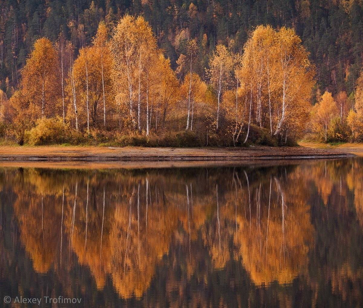 , Алексей Трофимов