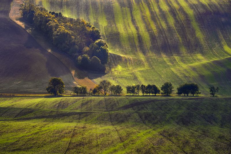Green Moravia фото превью