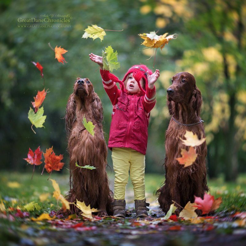 Autumn Colors фото превью