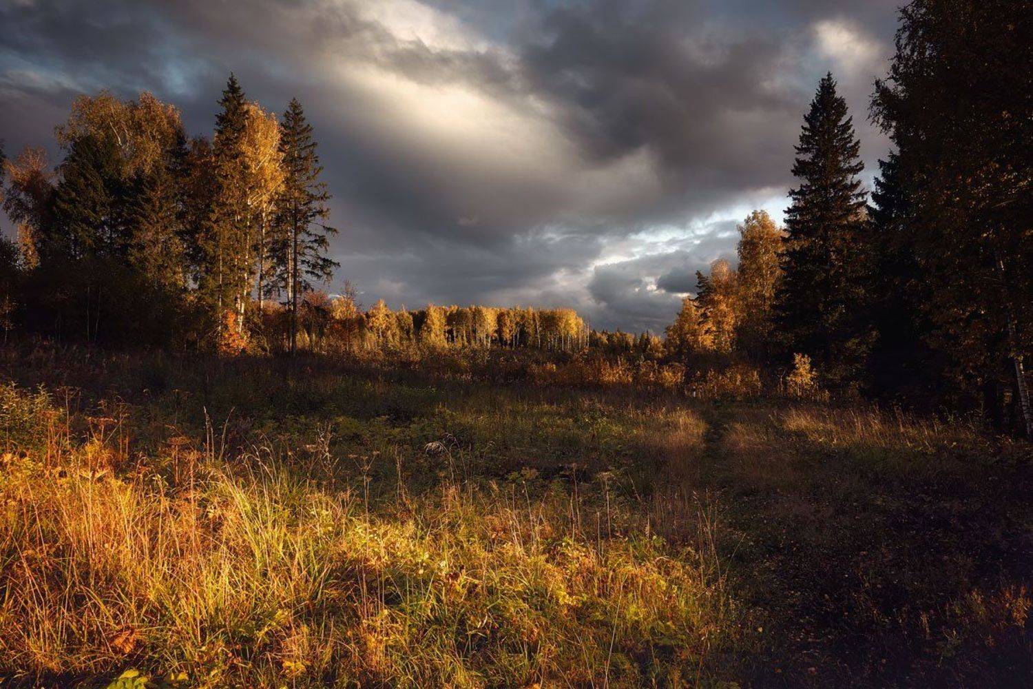 , Булатов Дмитрий