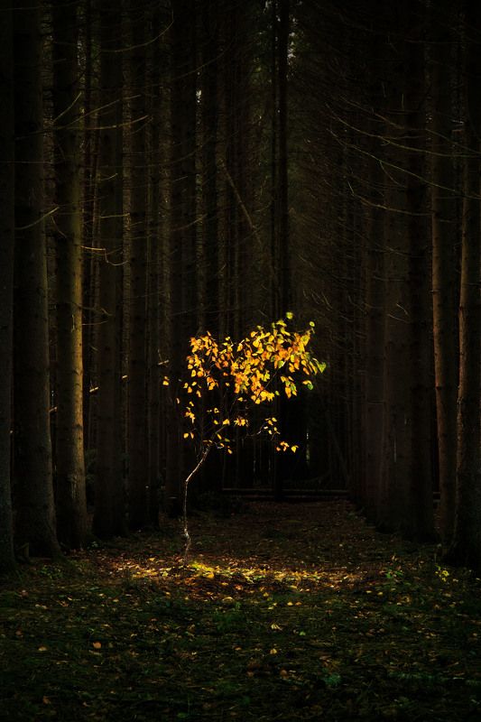 тайна фото превью