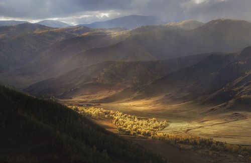 В долине Алтайских гор