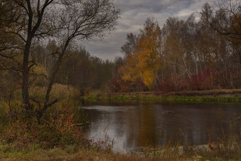 осень,утро,берег,река Берег осени ... фото превью