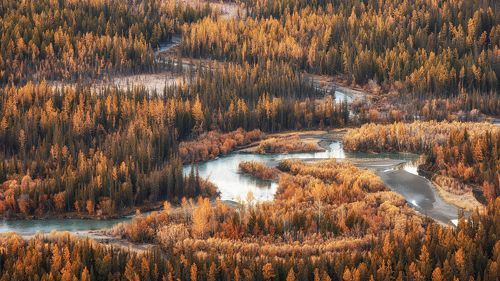 Долина р.Чуя, Курайская степь, Республика Алтай