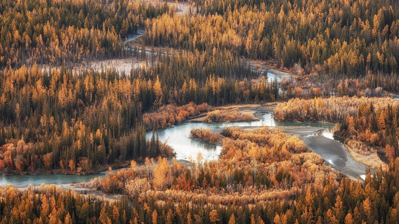 чуя, курайская, алтай Долина р.Чуя, Курайская степь, Республика Алтай фото превью