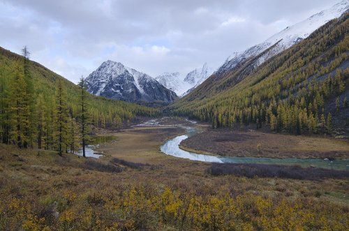 алтайская открытка