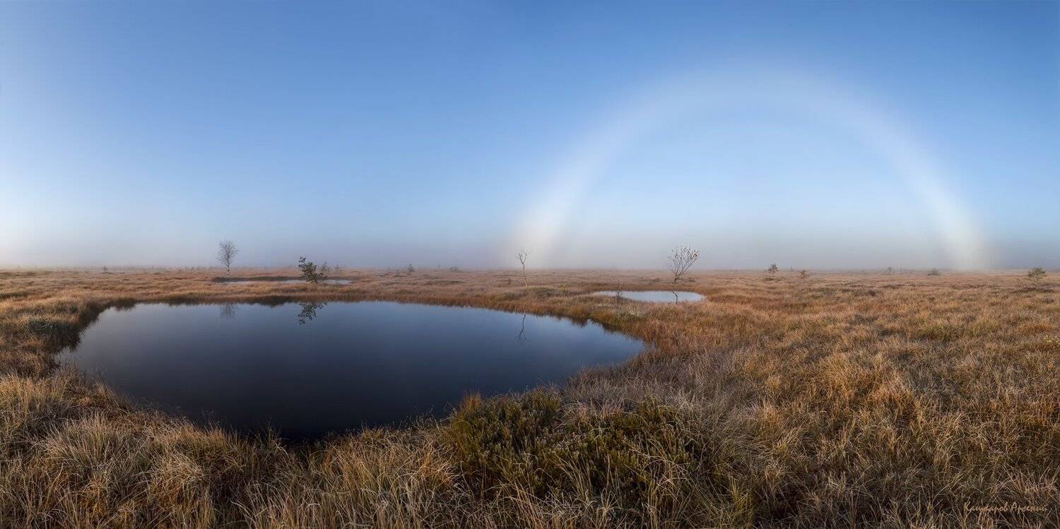 ленинградская область, ленобласть, карельский перешеек, болото, радуга, туман, Арсений Кашкаров