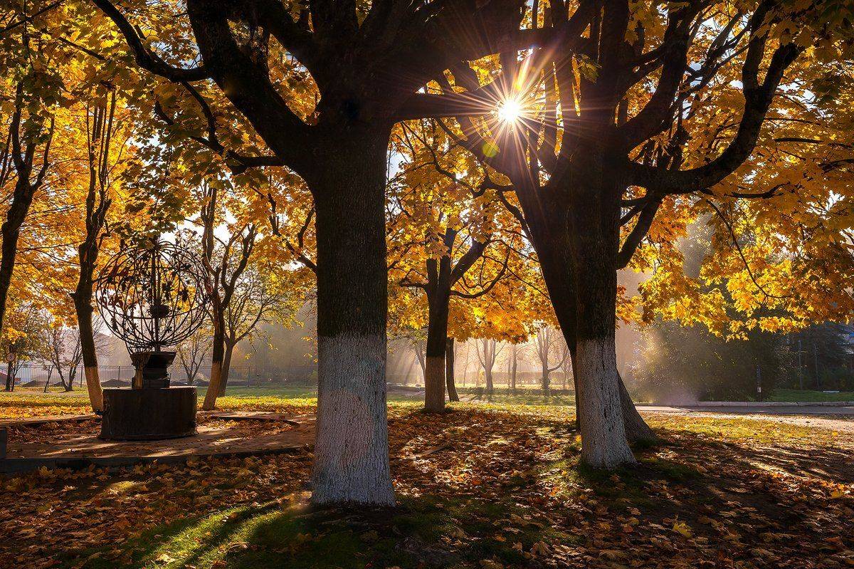пейзаж,природа,утро,рассвет,осень,россия,парк,октябь,красота,лучи, Юлия Лаптева