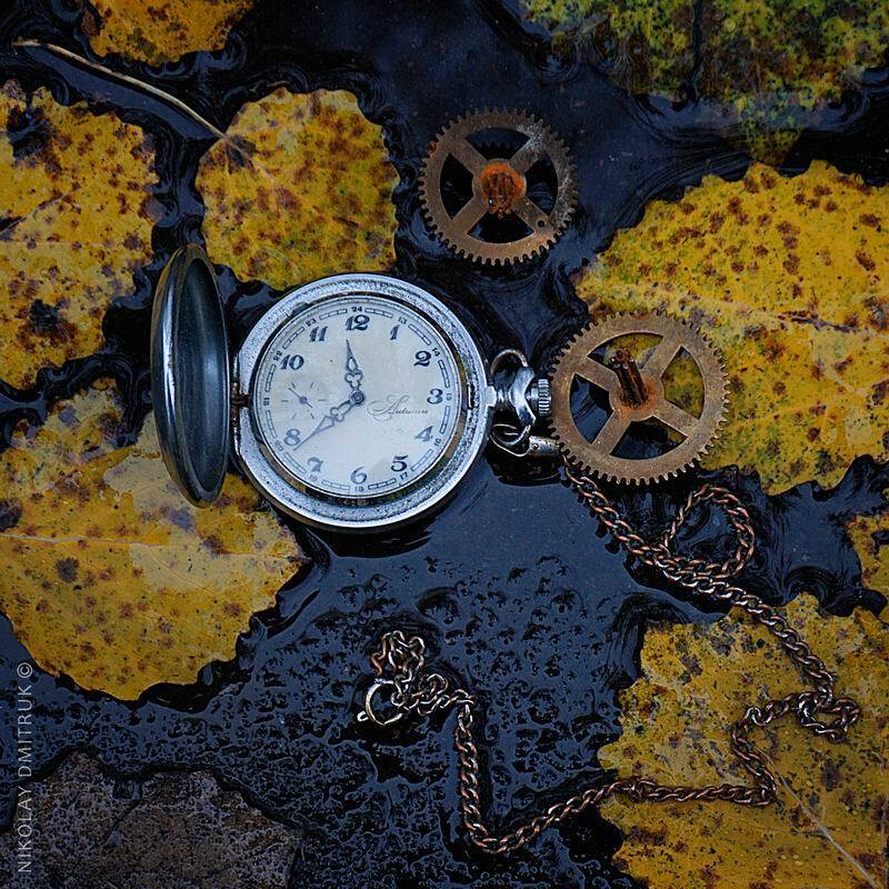 натюрморт, театр, музыка, николай дмитрук