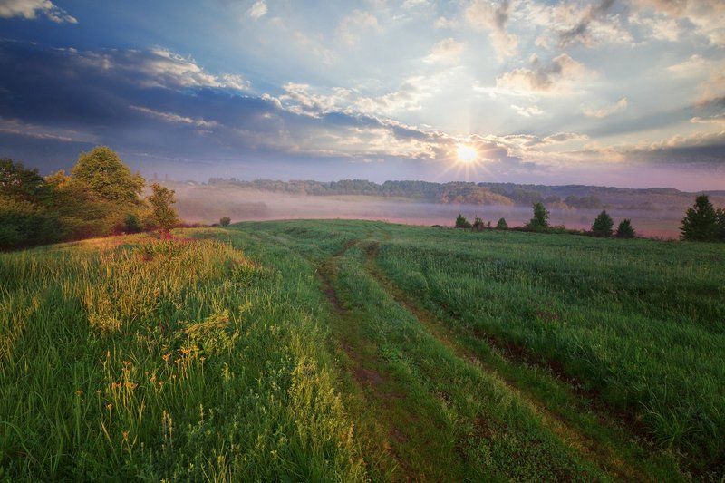 *** фото превью