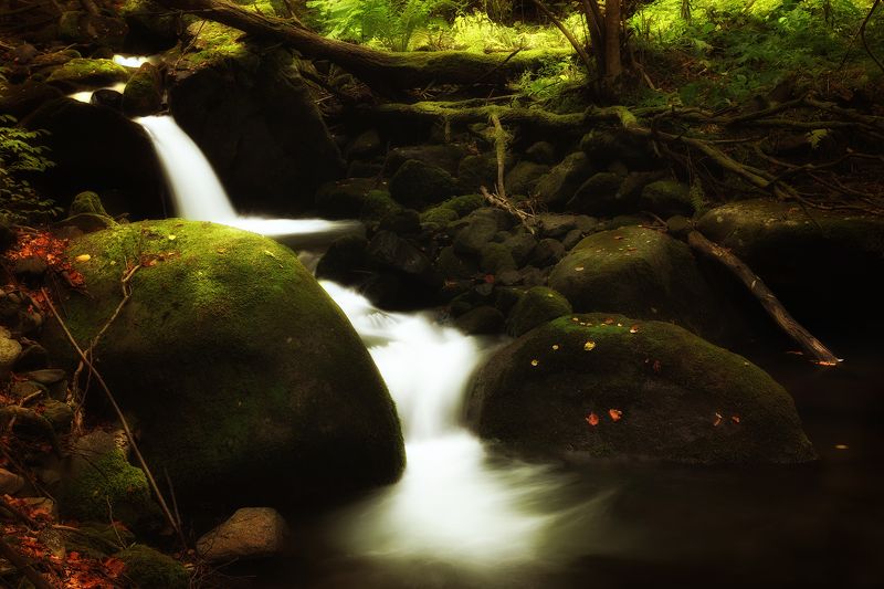 By the River фото превью